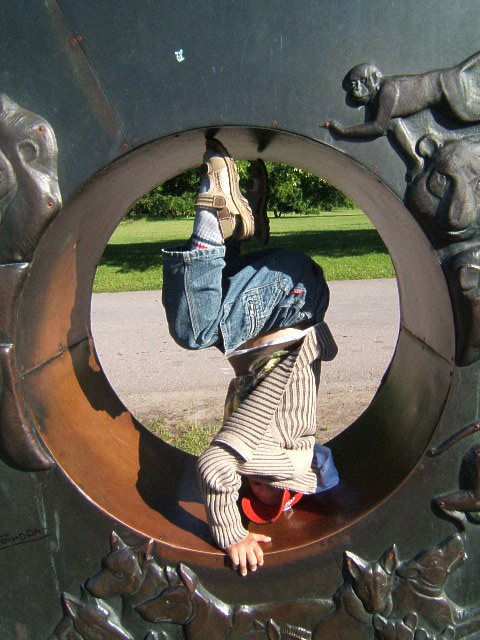 Väike poiss loomaaia  O sees peapeal seisus